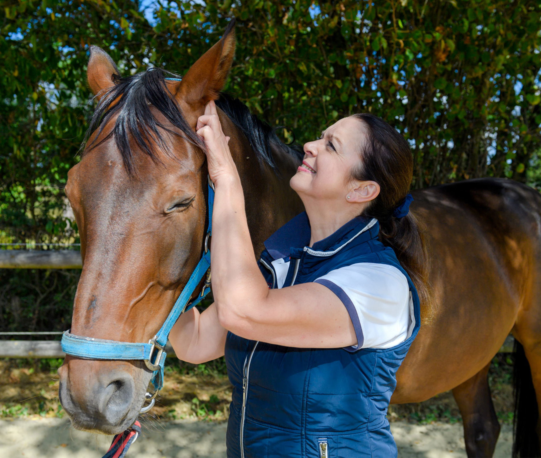 Tierheilpraxis Pferdesport Leistungen - Angela Esser